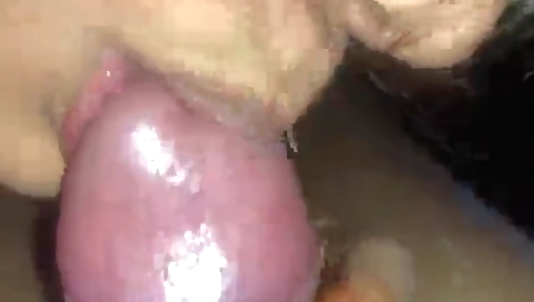 Indian porn video with a hot guy sucking and riding a woman