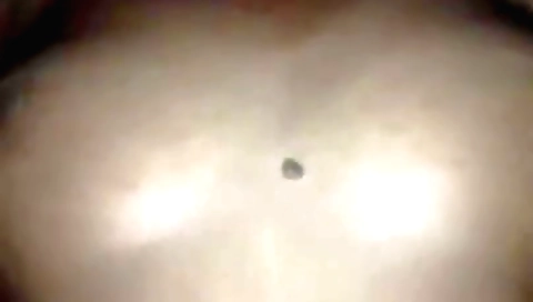 Sexy Indian brunette cunnilingus and riding a dick